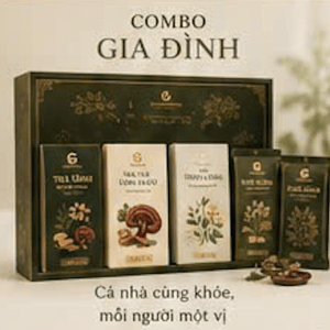 Combo Gia Đình