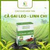 Cao Cà Gai Leo Linh Chi Hòa Tan